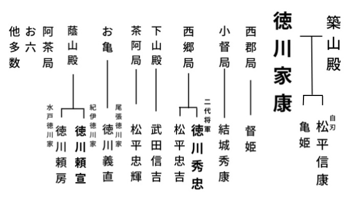 徳川家康の側室たちの系図